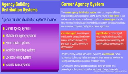 LOMA 290 第八講 產(chǎn)品銷售中的保險(xiǎn)經(jīng)紀(jì)業(yè)務(wù)